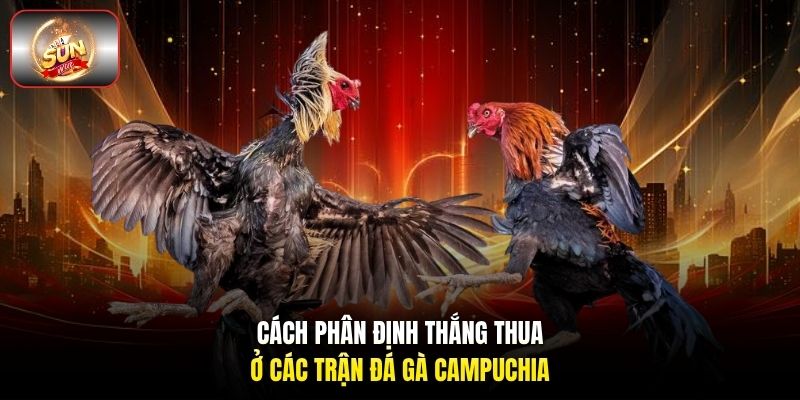 Cách phân định thắng thua ở các trận đá gà Campuchia