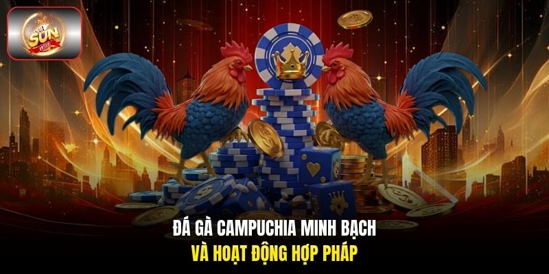 Đá gà Campuchia minh bạch và hoạt động hợp pháp
