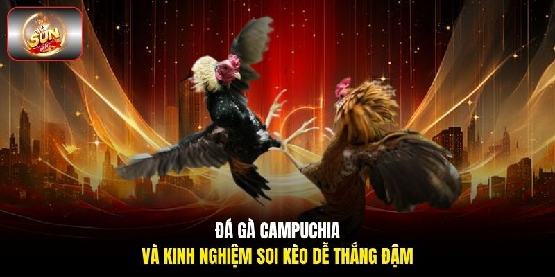 Đá gà Campuchia và kinh nghiệm soi kèo dễ thắng đậm