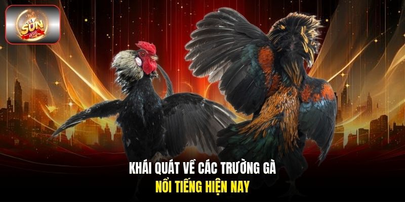 Khái quát về các trường gà nổi tiếng hiện nay