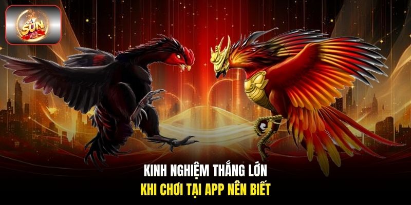 Kinh nghiệm thắng lớn khi chơi tại app nên biết Kinh nghiệm thắng lớn khi chơi tại app nên biết