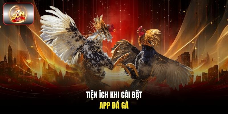 Tiện ích khi cài đặt app đá gà Tiện ích khi cài đặt app đá gà