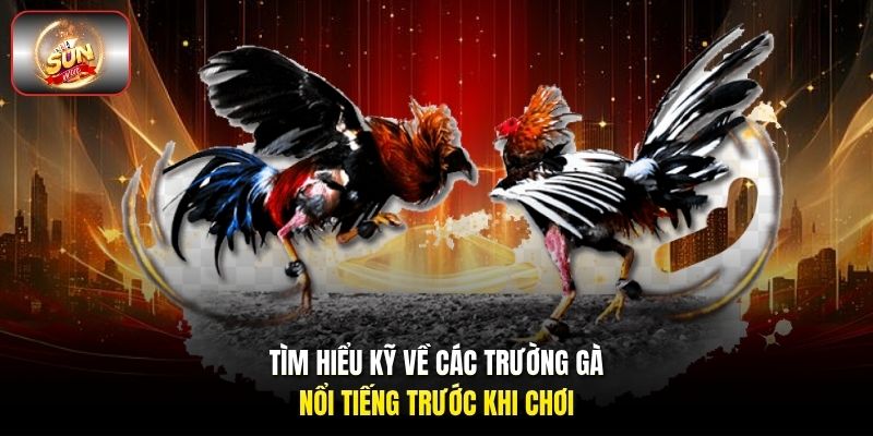 Tìm hiểu kỹ về các trường gà nổi tiếng trước khi chơi Tìm hiểu kỹ về các trường gà nổi tiếng trước khi chơi